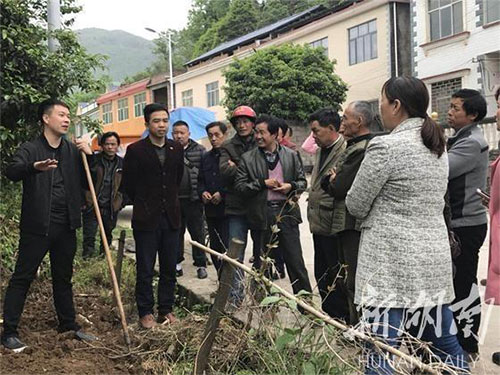 湖南中藥材種植,藥品批發(fā),湖南神舟中藥飲片有限公司